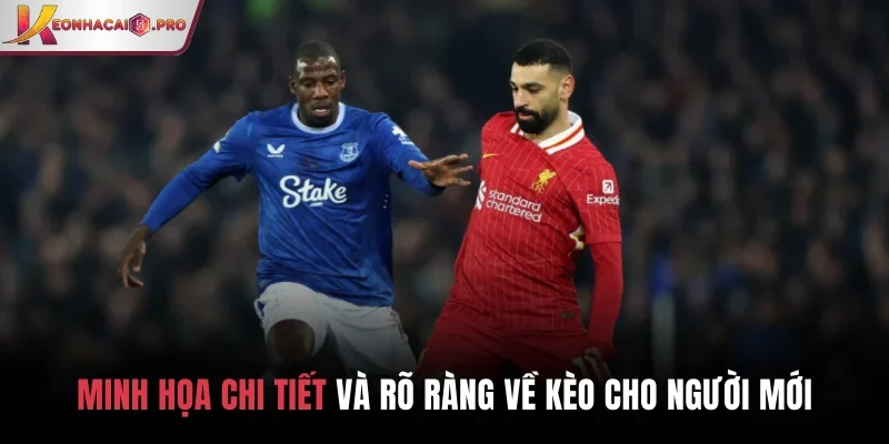 Minh họa chi tiết và rõ ràng về kèo cho người mới